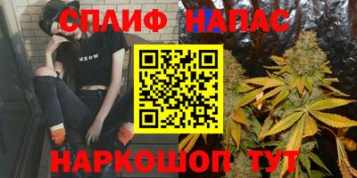 мдпв Обь